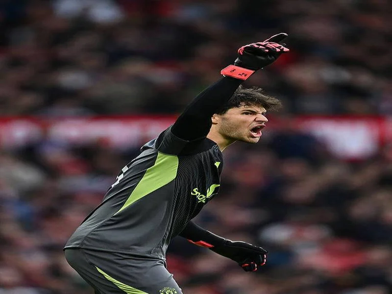哈格里夫斯：新援里最佳是拉门斯，门将不行曼联进不了前四